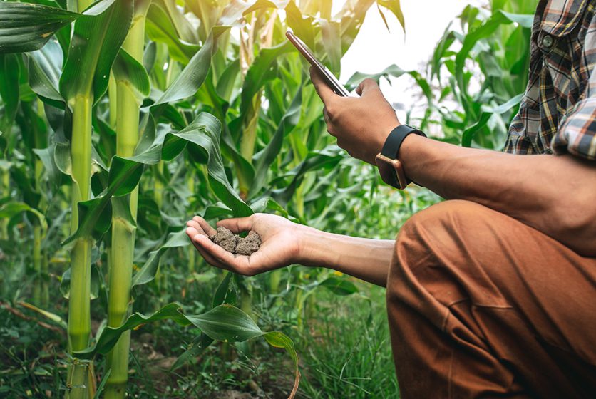 a career in agronomy